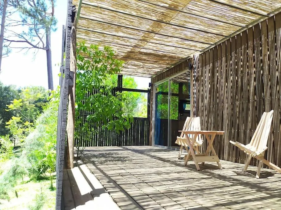 Loft House - Playa Mansa * Punta del Este